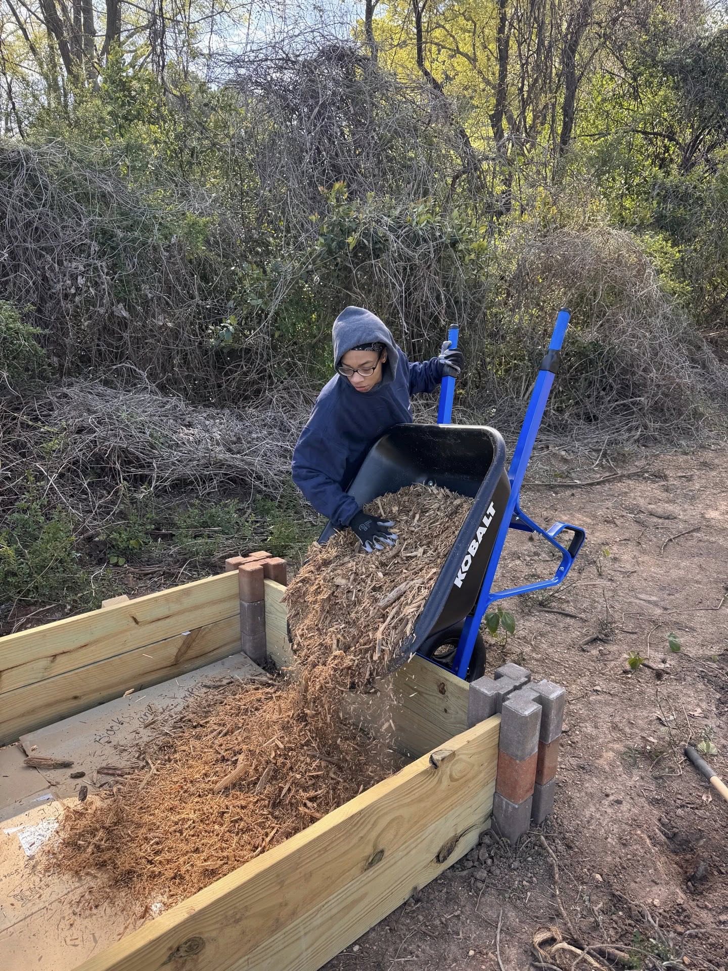 Volunteer filling raised bed with mulch