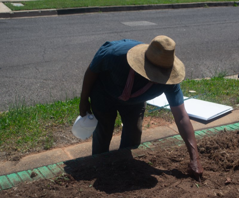 A community elder tending the garden